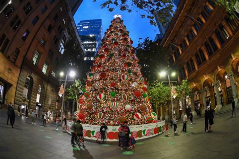 Forbes, ecco pubblicati 21 alberi di Natale tra i più belli al mondo | Radio Sintony | News