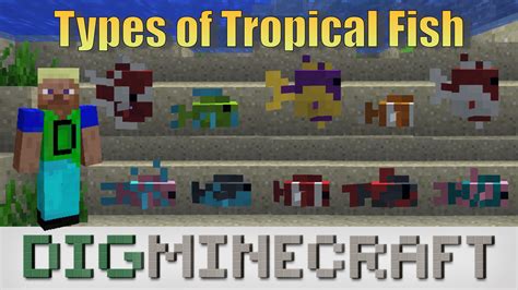 Take a look at the 22 different types of tropical fish in the new #Minecraft Aquatic Update in ...