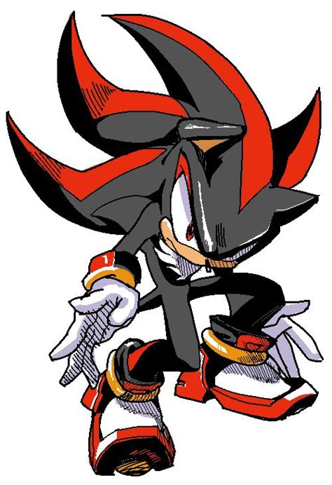 Shadow The Hedgehog Fan Art: Shadoodle | Shadow the hedgehog, Sonic and ...