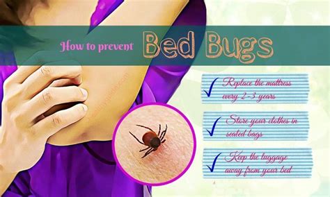 14 Tips How to Prevent Bed Bugs Bites at Home and when Travelling