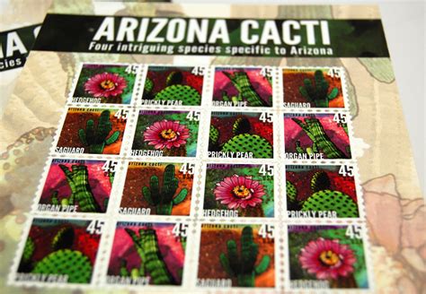 Arizona Cacti - Just Jenny Design