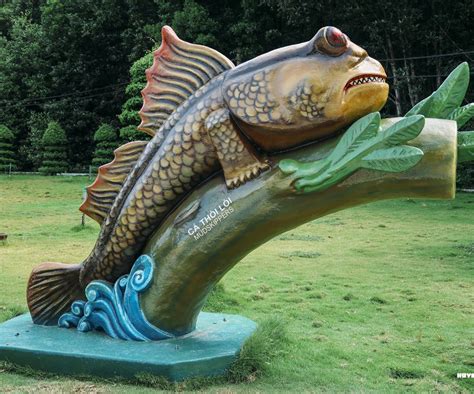 Cá Thòi Lòi rừng ngập mặn Đất Mũi - Du Lịch Năm Hướng