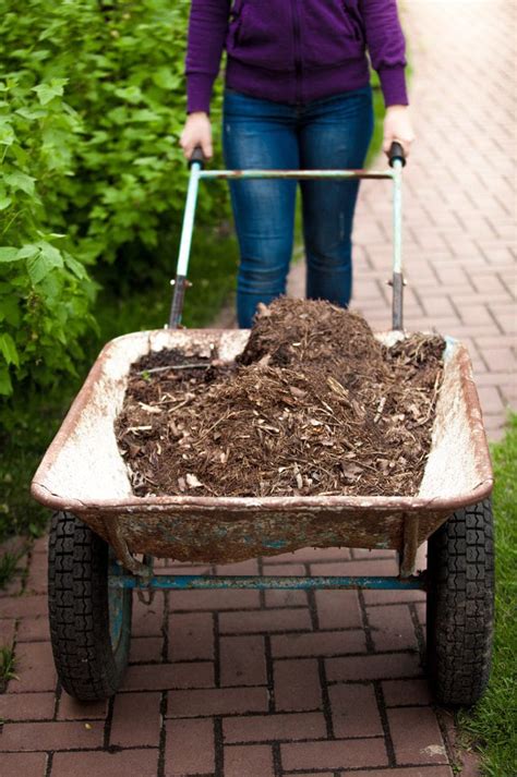 Fall Vegetable Garden Preparation - Mom Foodie