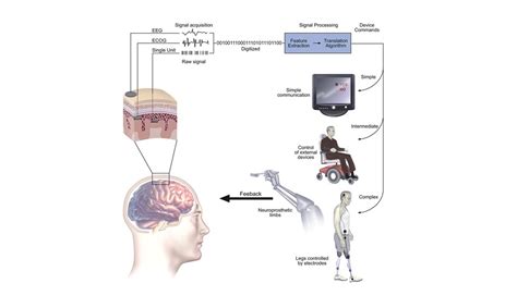 Robotic arm learns intentions of user with breakthrough brain-machine ...