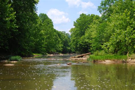 The Nickajack Naturalist: Up Crow Creek With a Paddle