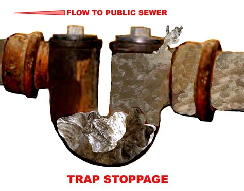 Sewer Trap And Sewer Check Valve Replacement