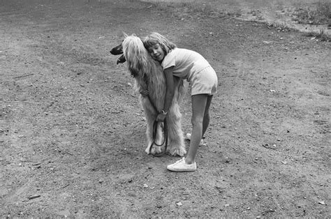 Elliott Erwitt's Dogs | Elliott erwitt, Elliott erwitt photography, Robert frank photography