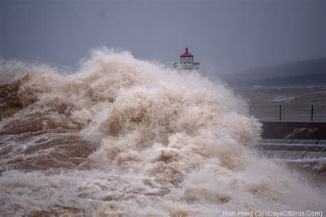 Lake Superior Storm Waves (video) | 365 Days of Birds