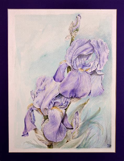 IRIS 1999 on Behance