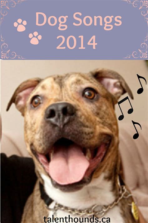 Dog Songs 2014 - Talent Hounds