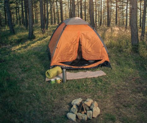 Comprehensive Guide: How to Find Free Camping Sites in the United ...