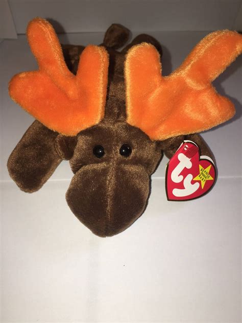 Chocolate the the Moose TY Beanie Baby - Etsy