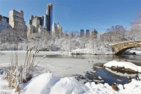 19 Best Things to Do in NYC in the Winter - Two Traveling Texans