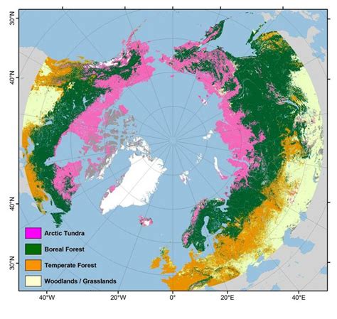 18 best Taiga biome project images on Pinterest | Biome project, School ...