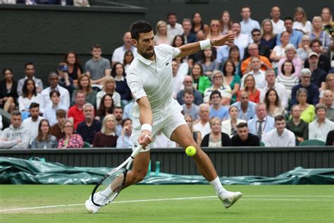 Wimbledon Novak Djokovic Faces Carlos Alcaraz In Men S Singles | Hot Sex Picture