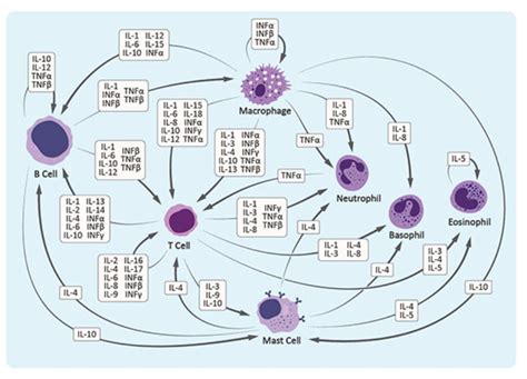 Why some suffered (and died) with severe C-19 whilst others were fine? And vitamins and ...