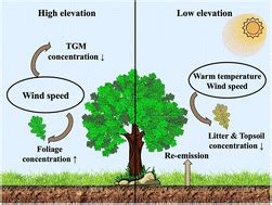 Atmospheric mercury uptake and accumulation in forests dependent on climatic factors ...