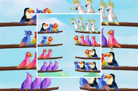 Bird Sort Puzzle on Culga Games