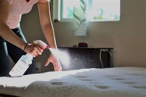 How to Clean Mattress Protector - Cleaning Basic