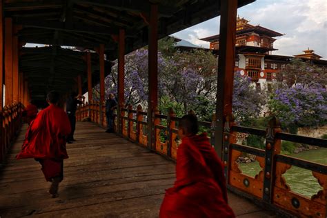 Punakha Dzong : Most Picturesque Dzong in Bhutan - My Travel Frames