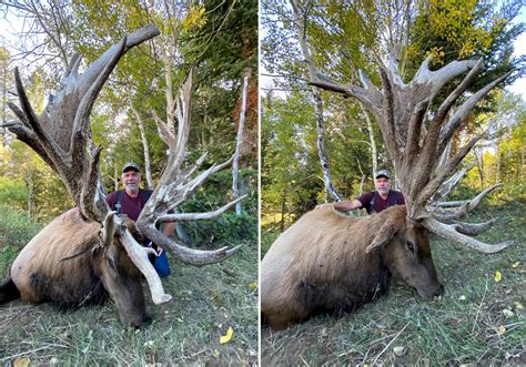 High-Fence Bull Elk Could Break an SCI World Record | Outdoor Life