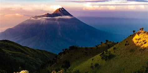 Indonesia | Global Climate Pledge