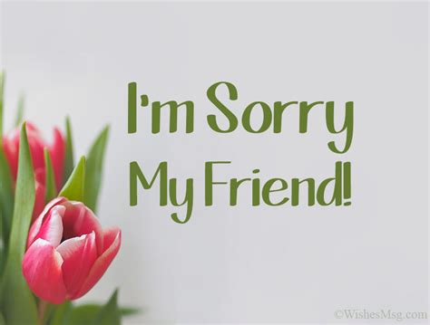 Sorry Messages for Friends - Apology Quotes | WishesMsg (2022)