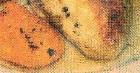 CHICKEN BREASTS WITH CLING PEACHES | Just A Pinch Recipes