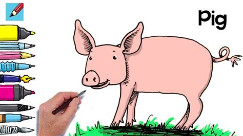 How to Draw a Pig Side View Real Easy - YouTube