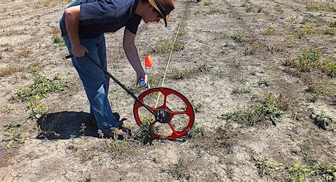 A practical guide to design shelterbelts on your farm