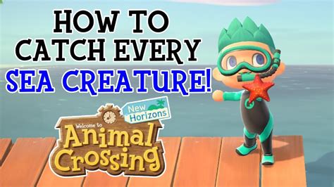 How To Catch Every Sea Creature in Animal Crossing New Horizons - New Horizons Sea Creature ...