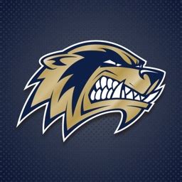 Bentonville Tiger Athletics by Mascot Media, LLC