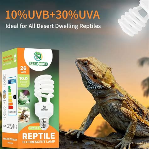 Buy REPTI HOME UVB Reptile Light, UVA UVB Bulb for Reptiles, Compact ...