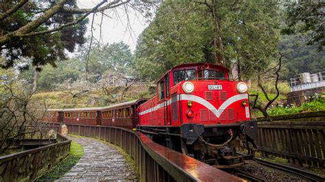 ALISHAN Forest Railway - Taiwan Everything