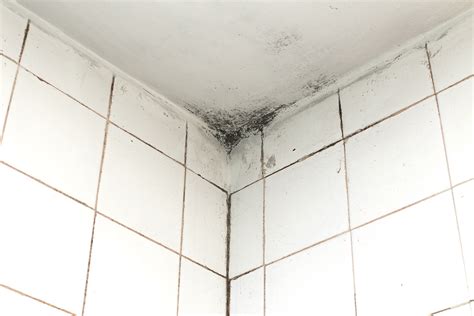 How To Clean Mold And Mildew From Bathroom Ceiling - Bathroom Poster