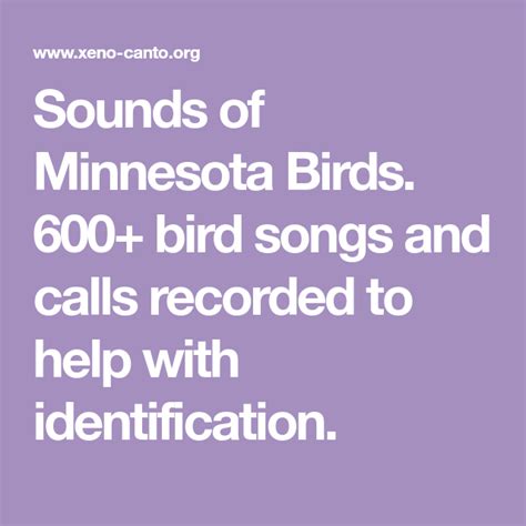 Sounds of Minnesota Birds. 600+ bird songs and calls recorded to help ...