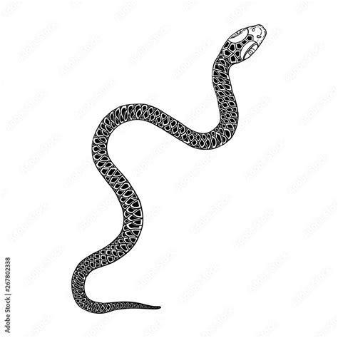 Snake drawing illustration. Black serpent isolated on a white background tattoo design. Venomous ...