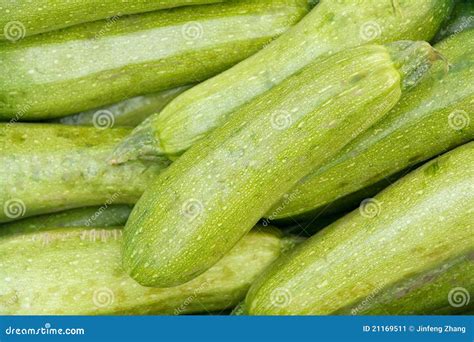 Vegetable Marrow Stock Image - Image: 21169511