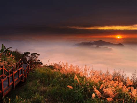 Alishan, Taiwan: A Super Detailed 2021 Guide | Spiritual Travels