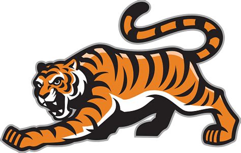 Tiger Mascot Stock Illustration - Download Image Now - iStock