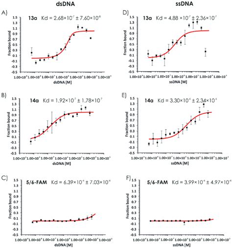 Microscale thermophoresis (MST) analysis of dsDNA binding by ...