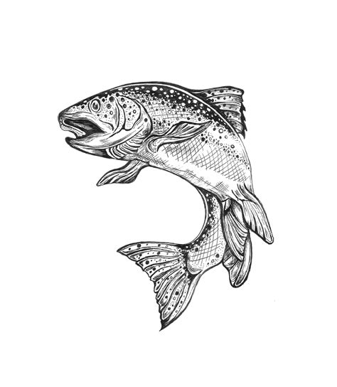 Fish Pen & Ink Illustration - Nature Drawing on Behance