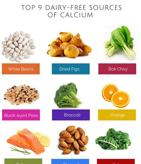 Foods High In Iron And Calcium