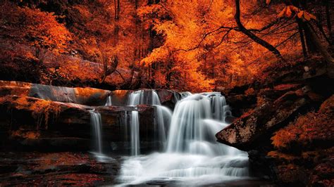 Beautiful Waterfall Stream On Rocks Surrounded By Red Yellow Autumn Leafed Trees In Forest 4K HD ...