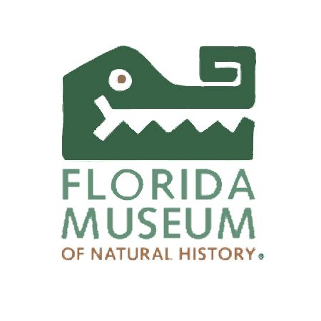 Florida Museum of Natural History - The Natural History Museum