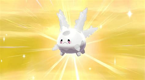 Galarian Corsola - Pokemon Sword and Shield Wiki Guide- Get all Details!