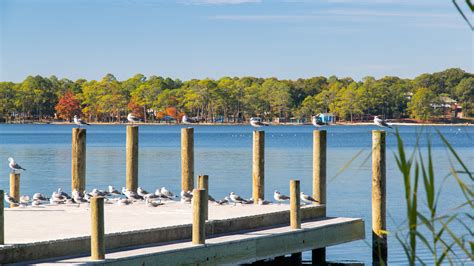 Niceville, FL, US holiday accommodation: holiday houses & more | Stayz