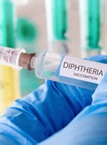 Diphtheria Information - Diseases and Vaccines - National Vaccine Information Center (NVIC)