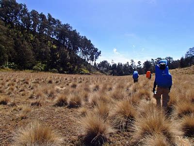 Info Unik Pilihan: Pengalaman 3 Hari Hiking Indonesia Mountain di Gunung Argopuro