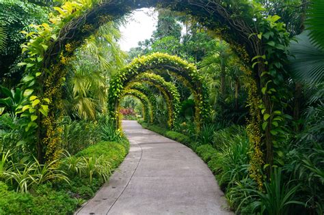 Singapore Botanic Gardens Walk - Map and Photo Guide